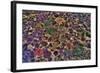 Washington State, Salt Creek. Tide Pool with Marine Life-Jaynes Gallery-Framed Photographic Print