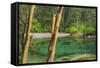 Washington State, San Juan Islands. Secluded Bay on Sucia Island-Don Paulson-Framed Stretched Canvas