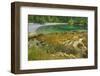 Washington State, San Juan Islands. Secluded Bay on Sucia Island-Don Paulson-Framed Photographic Print