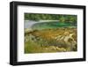 Washington State, San Juan Islands. Secluded Bay on Sucia Island-Don Paulson-Framed Photographic Print