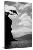 Washington State, San Juan Islands. Weathered Fir Tree Silhouette on Matia Island-Jaynes Gallery-Stretched Canvas