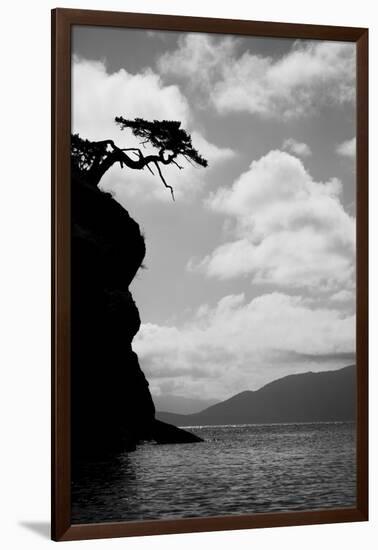 Washington State, San Juan Islands. Weathered Fir Tree Silhouette on Matia Island-Jaynes Gallery-Framed Photographic Print