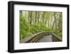 Washington State, Sandpiper Trail Boardwalk in Alder Tree Grove-Trish Drury-Framed Photographic Print