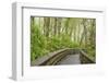 Washington State, Sandpiper Trail Boardwalk in Alder Tree Grove-Trish Drury-Framed Photographic Print