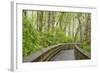 Washington State, Sandpiper Trail Boardwalk in Alder Tree Grove-Trish Drury-Framed Photographic Print