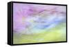 Washington State, Seabeck. Abstract of Flowers in Motion-Jaynes Gallery-Framed Stretched Canvas