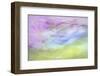 Washington State, Seabeck. Abstract of Flowers in Motion-Jaynes Gallery-Framed Photographic Print