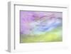 Washington State, Seabeck. Abstract of Flowers in Motion-Jaynes Gallery-Framed Photographic Print