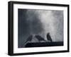 Washington State, Seabeck. Crows Backlit with Steam Coming from Sun on Roof Top-Jaynes Gallery-Framed Photographic Print