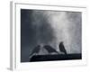 Washington State, Seabeck. Crows Backlit with Steam Coming from Sun on Roof Top-Jaynes Gallery-Framed Photographic Print