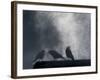 Washington State, Seabeck. Crows Backlit with Steam Coming from Sun on Roof Top-Jaynes Gallery-Framed Photographic Print