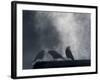 Washington State, Seabeck. Crows Backlit with Steam Coming from Sun on Roof Top-Jaynes Gallery-Framed Photographic Print