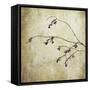 Washington State, Seabeck. Plum Tree Branch with Spring Buds-Jaynes Gallery-Framed Stretched Canvas