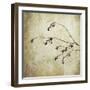 Washington State, Seabeck. Plum Tree Branch with Spring Buds-Jaynes Gallery-Framed Photographic Print