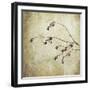 Washington State, Seabeck. Plum Tree Branch with Spring Buds-Jaynes Gallery-Framed Photographic Print