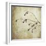 Washington State, Seabeck. Plum Tree Branch with Spring Buds-Jaynes Gallery-Framed Photographic Print