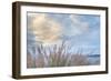 Washington State, Seabeck. Scenic of Pennisetum Ornamental Grasses-Don Paulson-Framed Photographic Print