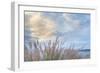 Washington State, Seabeck. Scenic of Pennisetum Ornamental Grasses-Don Paulson-Framed Photographic Print