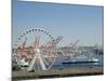 Washington State, Seattle Waterfront, The Great Wheel and Washington State Ferry-Jamie & Judy Wild-Mounted Photographic Print