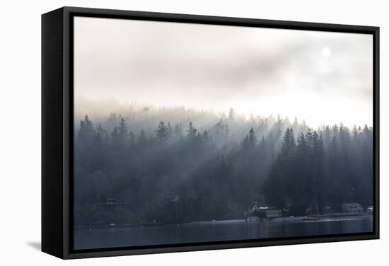 Washington State, Shafts of Morning Light Piercing Fog Make God Rays Through Trees-Trish Drury-Framed Stretched Canvas