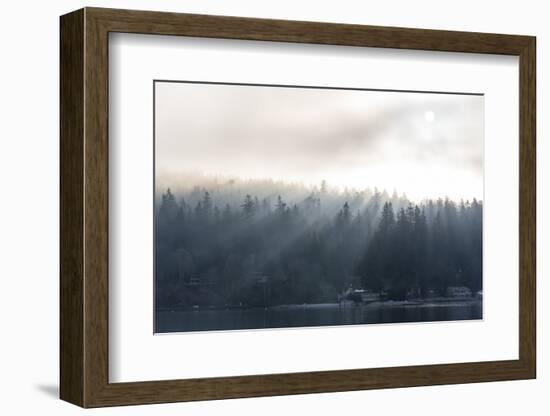 Washington State, Shafts of Morning Light Piercing Fog Make God Rays Through Trees-Trish Drury-Framed Photographic Print