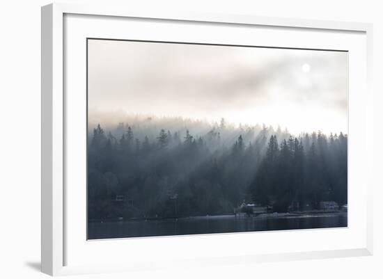 Washington State, Shafts of Morning Light Piercing Fog Make God Rays Through Trees-Trish Drury-Framed Photographic Print