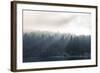 Washington State, Shafts of Morning Light Piercing Fog Make God Rays Through Trees-Trish Drury-Framed Photographic Print