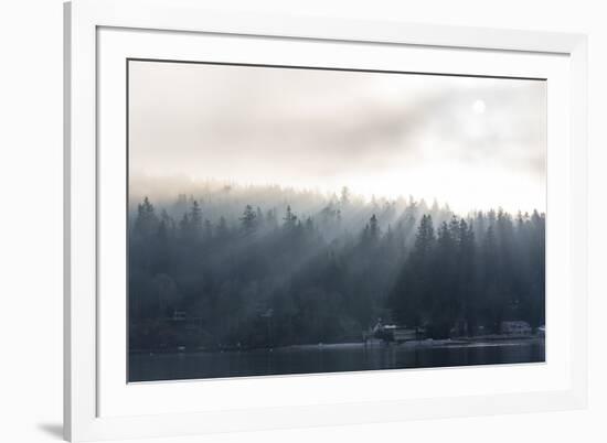 Washington State, Shafts of Morning Light Piercing Fog Make God Rays Through Trees-Trish Drury-Framed Photographic Print