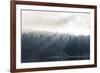 Washington State, Shafts of Morning Light Piercing Fog Make God Rays Through Trees-Trish Drury-Framed Photographic Print