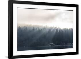 Washington State, Shafts of Morning Light Piercing Fog Make God Rays Through Trees-Trish Drury-Framed Photographic Print