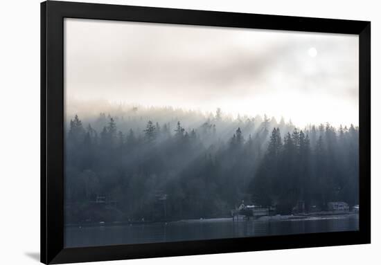 Washington State, Shafts of Morning Light Piercing Fog Make God Rays Through Trees-Trish Drury-Framed Photographic Print