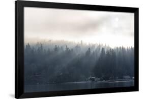Washington State, Shafts of Morning Light Piercing Fog Make God Rays Through Trees-Trish Drury-Framed Photographic Print
