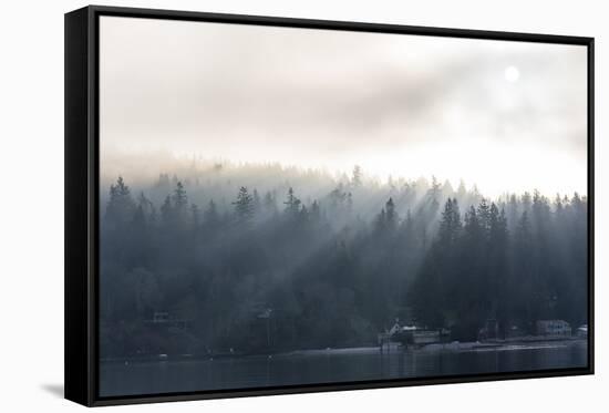 Washington State, Shafts of Morning Light Piercing Fog Make God Rays Through Trees-Trish Drury-Framed Stretched Canvas