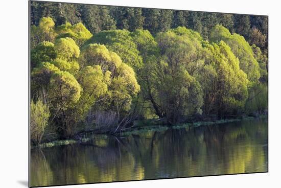 Washington State, Spokane River-Charles Gurche-Mounted Photographic Print