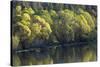 Washington State, Spokane River-Charles Gurche-Stretched Canvas