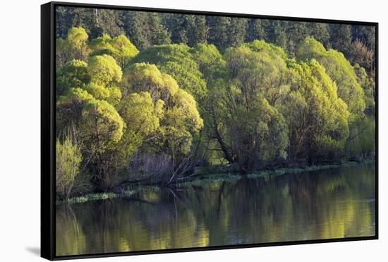 Washington State, Spokane River-Charles Gurche-Framed Stretched Canvas