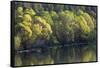 Washington State, Spokane River-Charles Gurche-Framed Stretched Canvas