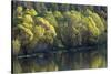 Washington State, Spokane River-Charles Gurche-Stretched Canvas