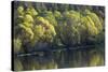 Washington State, Spokane River-Charles Gurche-Stretched Canvas