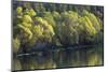 Washington State, Spokane River-Charles Gurche-Mounted Photographic Print