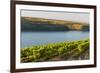 Washington State, Tri-Cities. the Benches Vineyards-Richard Duval-Framed Photographic Print