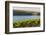 Washington State, Tri-Cities. the Benches Vineyards-Richard Duval-Framed Photographic Print