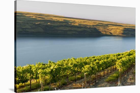 Washington State, Tri-Cities. the Benches Vineyards-Richard Duval-Stretched Canvas