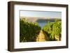 Washington State, Tri-Cities. the Benches Vineyards-Richard Duval-Framed Photographic Print