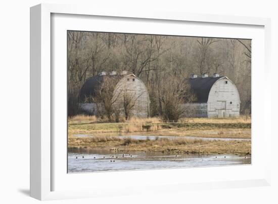 Washington State. Two Barns, at the Nisqually Wildlife Refuge-Matt Freedman-Framed Photographic Print