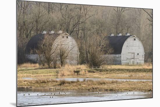 Washington State. Two Barns, at the Nisqually Wildlife Refuge-Matt Freedman-Mounted Photographic Print