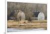 Washington State. Two Barns, at the Nisqually Wildlife Refuge-Matt Freedman-Framed Photographic Print