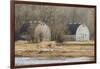 Washington State. Two Barns, at the Nisqually Wildlife Refuge-Matt Freedman-Framed Photographic Print