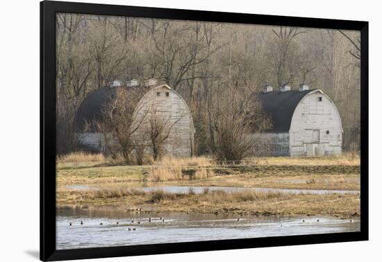 Washington State. Two Barns, at the Nisqually Wildlife Refuge-Matt Freedman-Framed Photographic Print