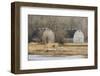 Washington State. Two Barns, at the Nisqually Wildlife Refuge-Matt Freedman-Framed Photographic Print